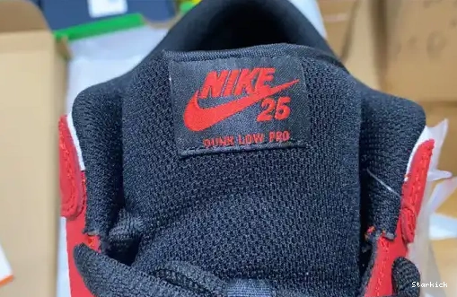 SB Low Nike Dunk 25th years 309242-307 0621